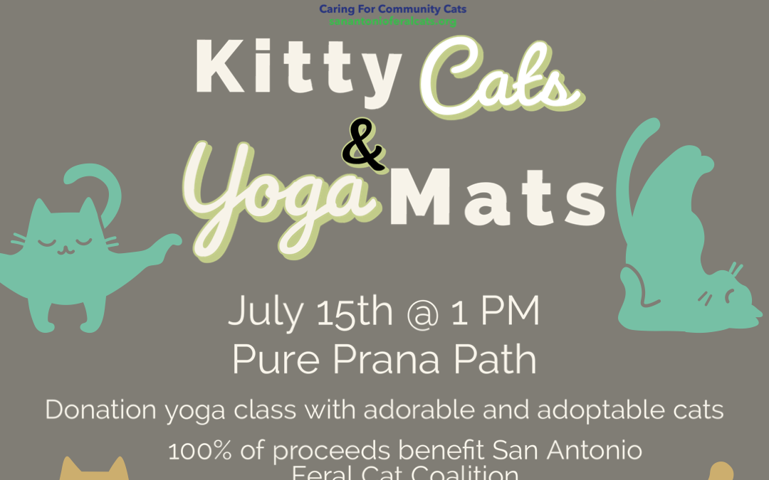 CAT YOGA