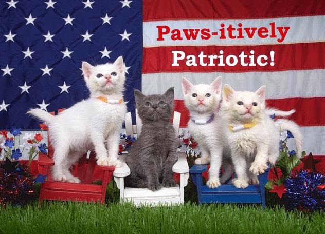 Happy 4th of July!