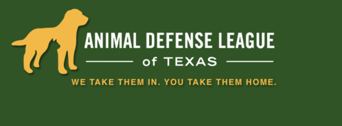 The Animal Defense League will accept 10 ferals tomorrow, Wednesday, Sept 27th.