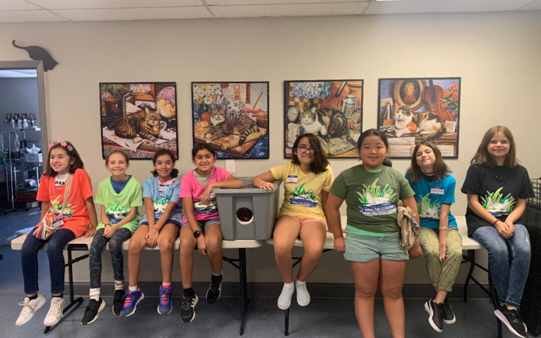 Thank You Troop 80!