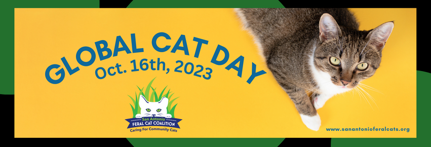 Global Cat Day Is October 16th