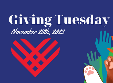 Nov 28th is Giving Tuesday