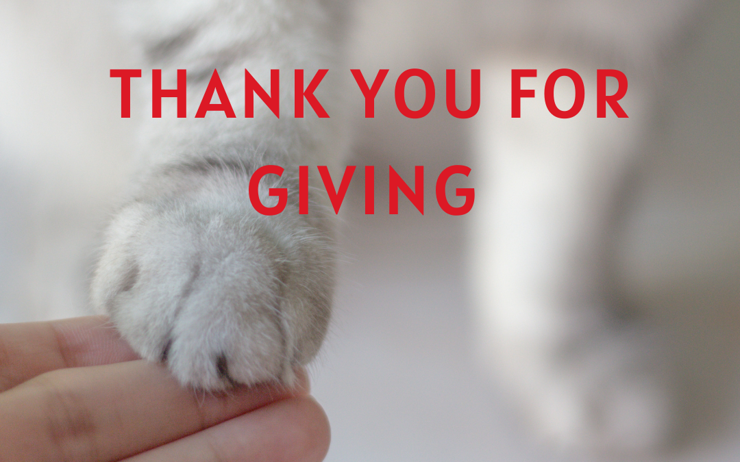 #GivingTuesday