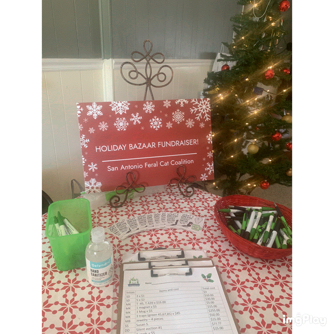 A Meowy Christmas Bazaar Indeed!