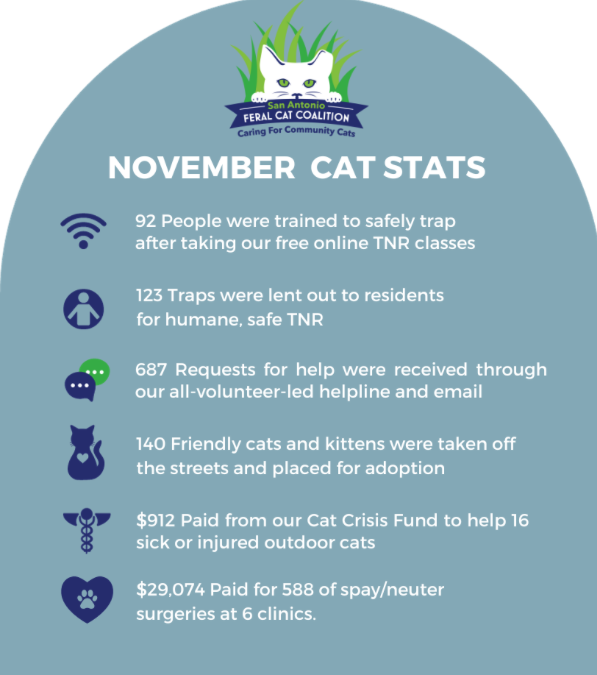 MONTHLY STATS: November 2023