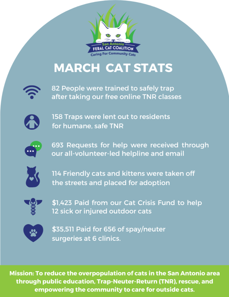 march cat stats