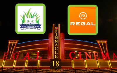 Regal Cinemas Fundraiser